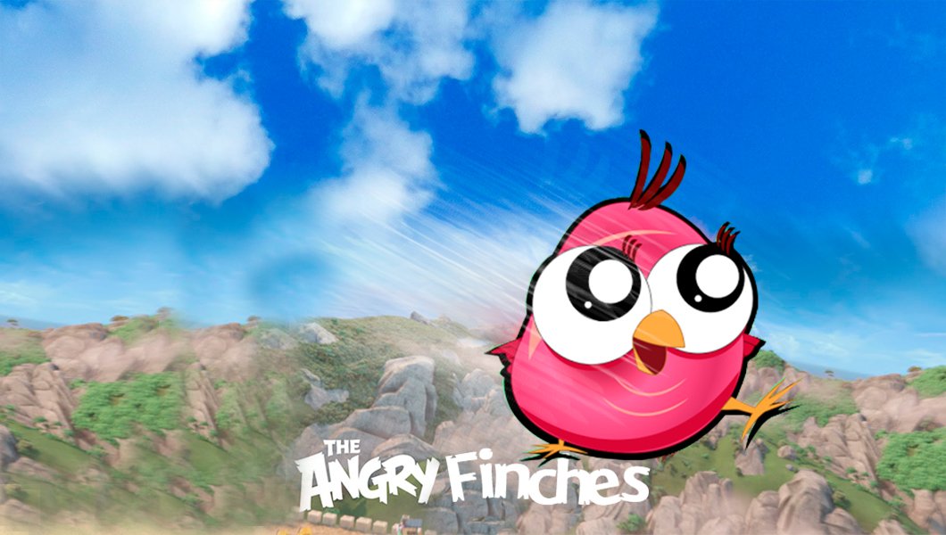 The ​Angry Finches